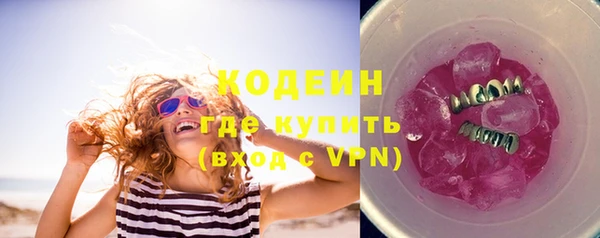 сатива Верея