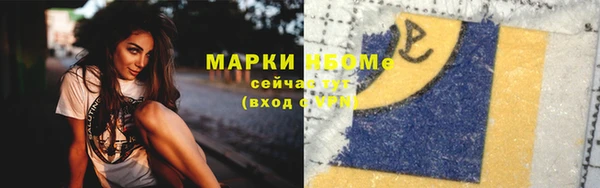 сатива Верея