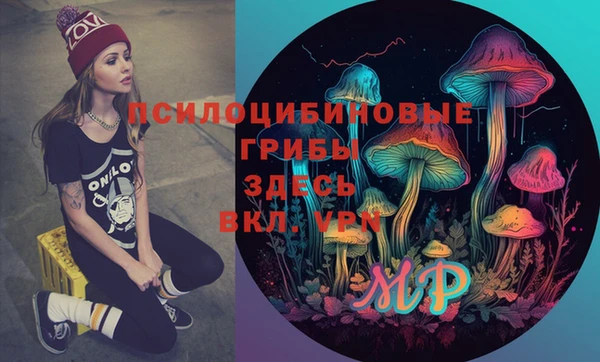 гашик Волоколамск
