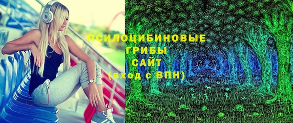 Альфа ПВП Володарск