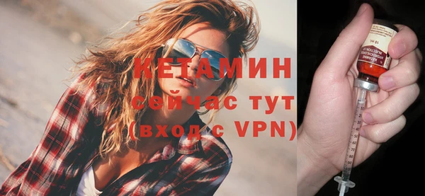сатива Верея