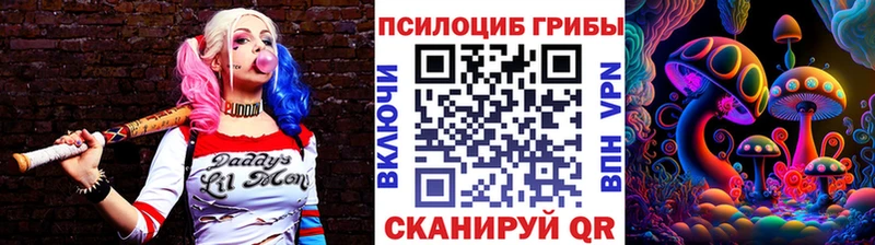 цена   Ессентуки  blacksprut зеркало  Псилоцибиновые грибы Magic Shrooms 